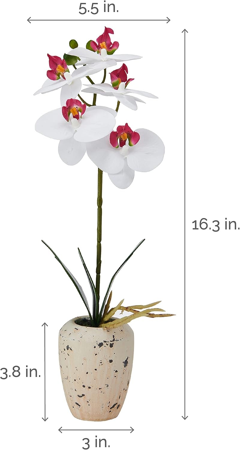 Mikasa Artificial Orchid in Pot, Real Touch Phalaenopsis Orchid, Faux Aged Cement Pot, 22-Inch Double Branch, White/Pink(White/Pink)