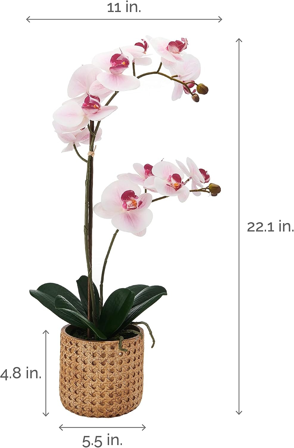 Mikasa Artificial Orchid in Pot, Real Touch Phalaenopsis Orchid, Embossed Caning Cement Pot, 16-Inch Single Branch, Rosewood(Watercolor Pink)
