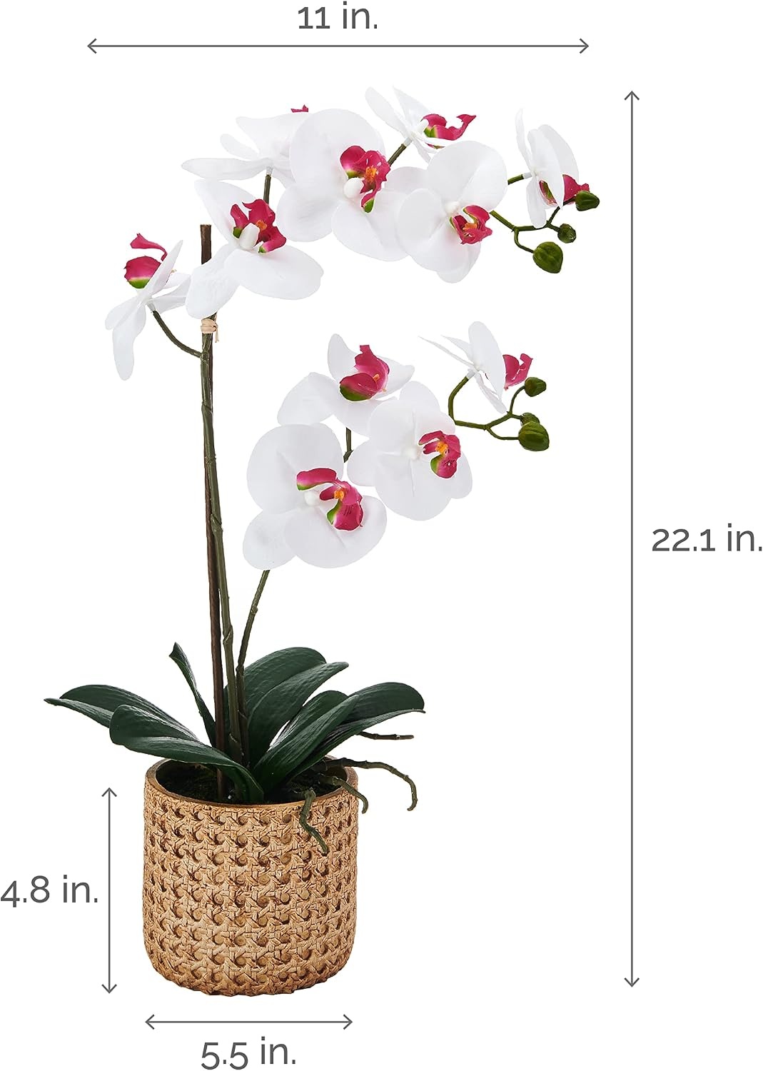 Mikasa Artificial Orchid in Pot, Real Touch Phalaenopsis Orchid, Embossed Caning Cement Pot, 16-Inch Single Branch, Rosewood(White/Pink)