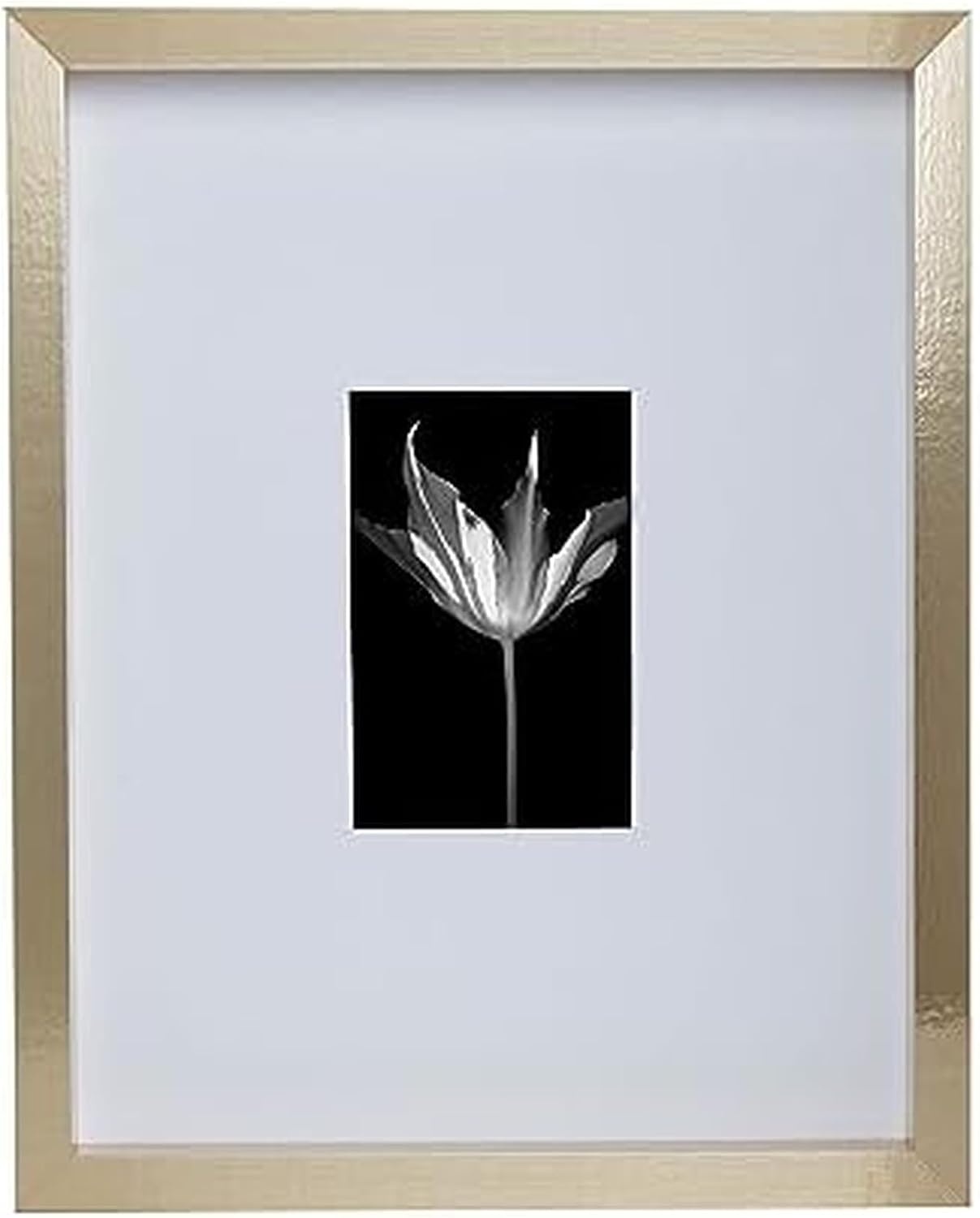 Mikasa Silver Gallery Frame-16 x 16 Matted to 5 x 7(Gold) - view 6