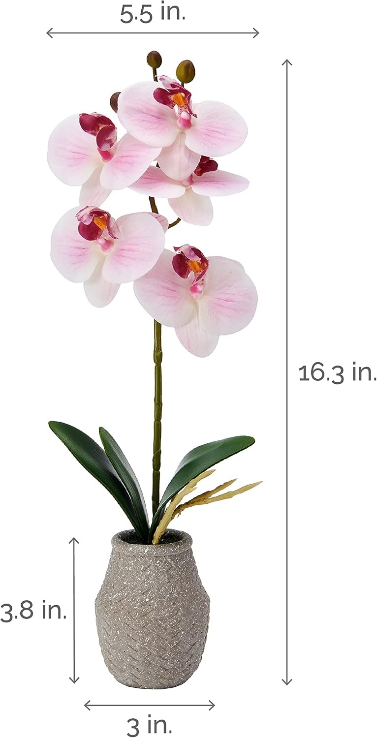 Mikasa Artificial Orchid in Pot, Real Touch Phalaenopsis Orchid, Embossed Weave Cement Pot, 16-Inch Single Branch, Watercolor Pink(Watercolor Pink)