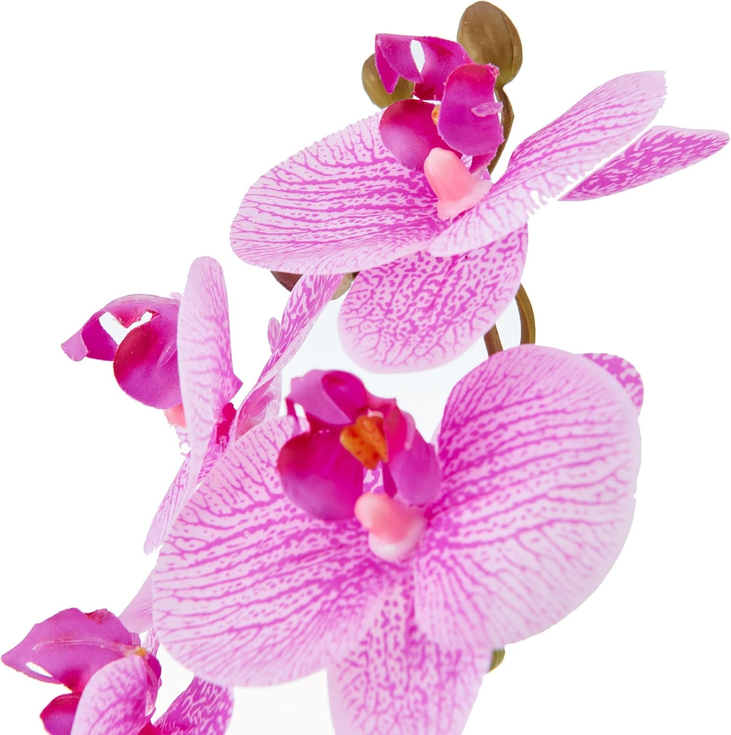 Mikasa Artificial Real Touch Phalaenopsis Orchid Flower in Pot, Faux Floral Décor for Wedding, Home, Office, Party, Hotel, Salon, 15-Inch, White Pink(Fuchsia Stripe)