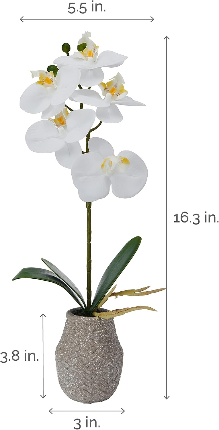 Mikasa Artificial Orchid in Pot, Real Touch Phalaenopsis Orchid, Embossed Weave Cement Pot, 16-Inch Single Branch, Watercolor Pink(White/Yellow)