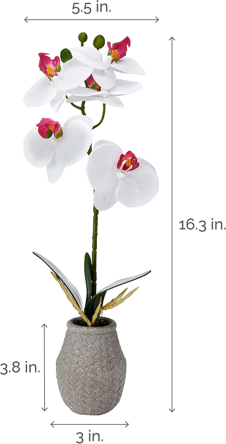 Mikasa Artificial Orchid in Pot, Real Touch Phalaenopsis Orchid, Embossed Weave Cement Pot, 16-Inch Single Branch, Watercolor Pink(White/Pink)