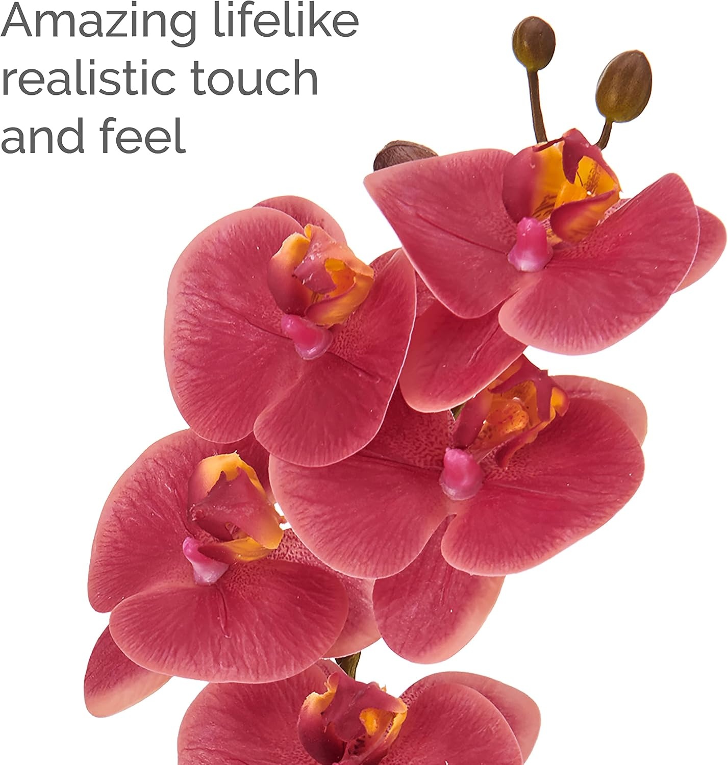 Mikasa Artificial Orchid in Pot, Real Touch Phalaenopsis Orchid, Embossed Caning Cement Pot, 16-Inch Single Branch, Rosewood(Water Color Pink) - view 2