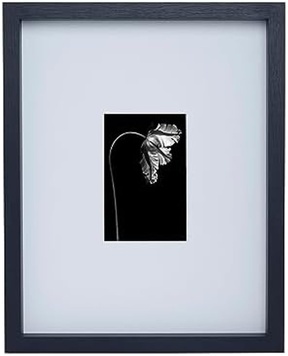 Mikasa Silver Gallery Frame-16 x 16 Matted to 5 x 7(Black) - view 6