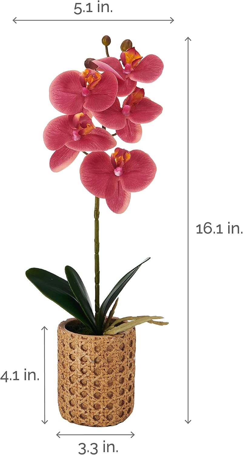 Mikasa Artificial Orchid in Pot, Real Touch Phalaenopsis Orchid, Embossed Caning Cement Pot, 16-Inch Single Branch, Rosewood(Rosewood)